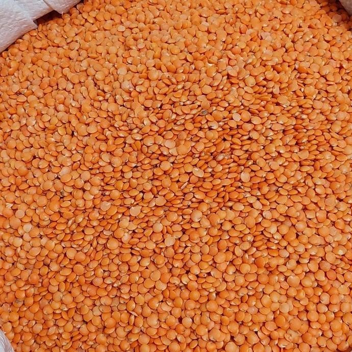 

Terlaris Natural Red Lentil/ Organik Kacang Lentil Merah, Impor India1 Kg Original