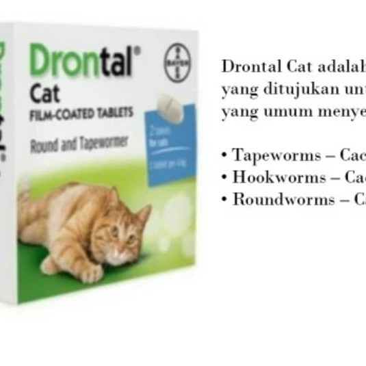 drontal cat asli original