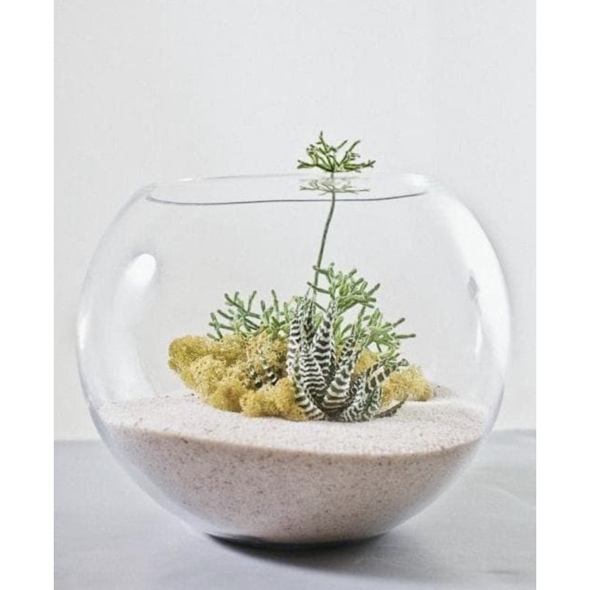 Terrarium dekorasi lilin vas pot bunga aquarium lucu bulat kaca bening
