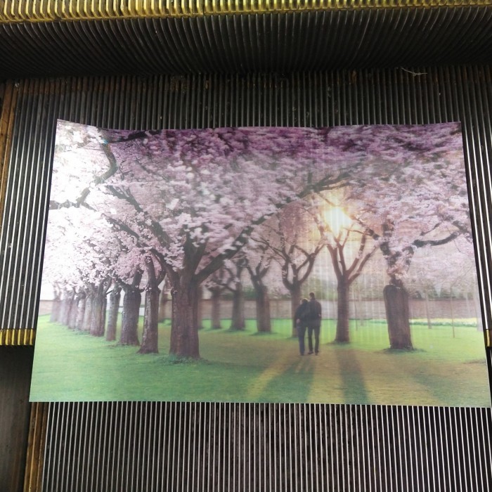 

Wow Gambar 3 Dimensi Uk 40X60Cm Murah