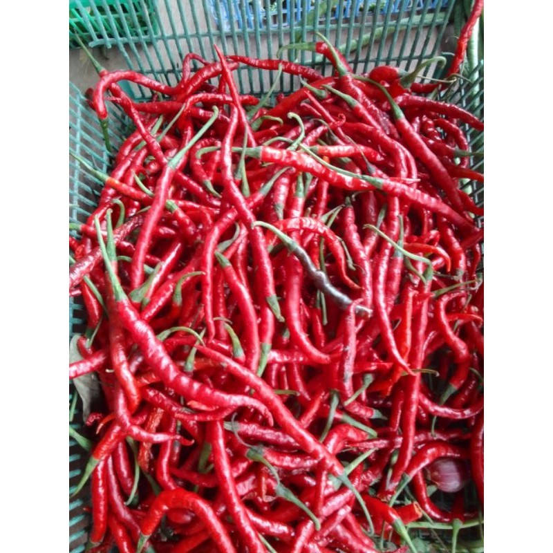 

Cabe Merah 250gram