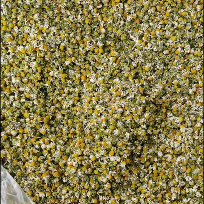 

1 Kg Whole German Chamomile Grade 4A (Aaaa) Bulk Packaging Flake 5-10%