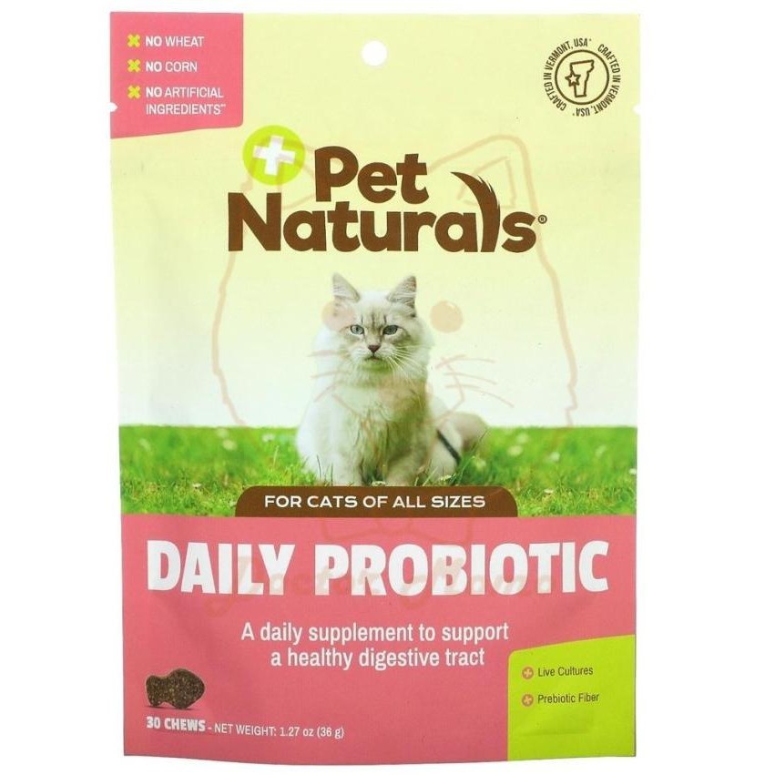 

Pet Naturals Daily Probiotic Cats 30 Chews Snack Probiotik Kucing USA TD