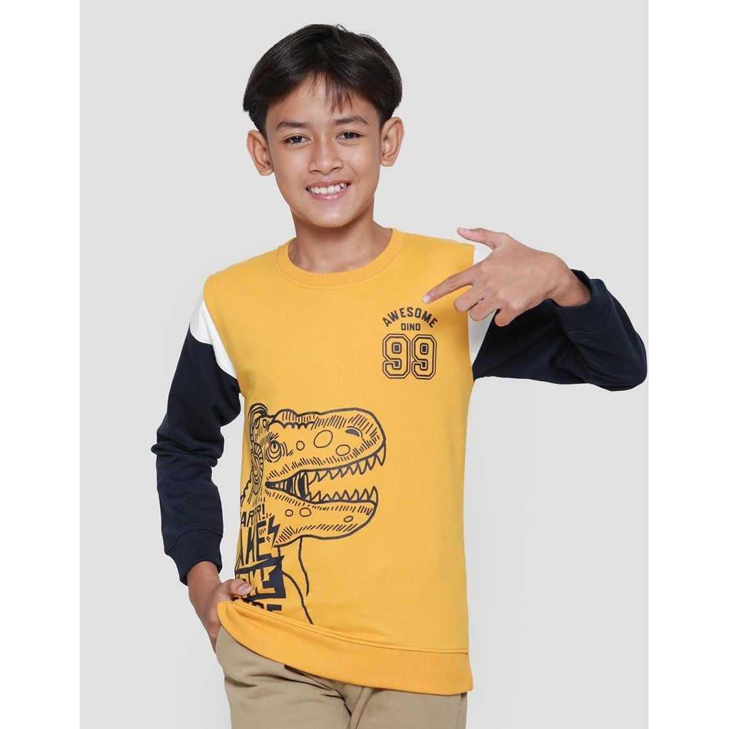 Aero Awesome Dino Sweater Anak Laki-laki 120083900