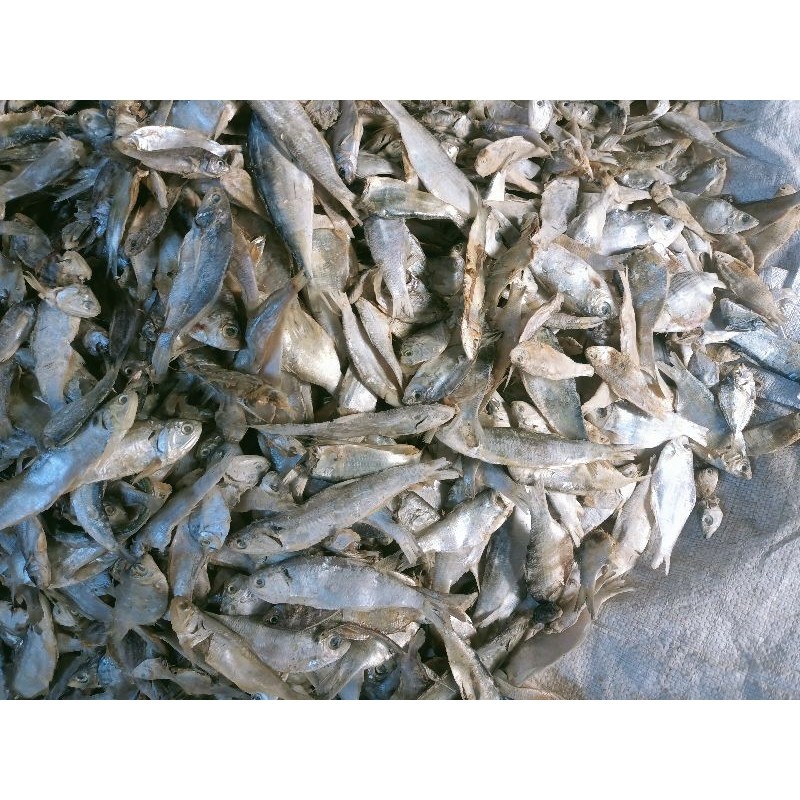 

IKAN ASIN CAMPUR MIX MURAH 500GR