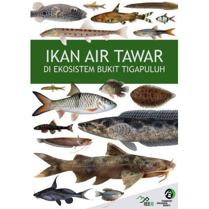 

(PID211) Ikan Air Tawar di Ekosistem Bukit Tigapuluh