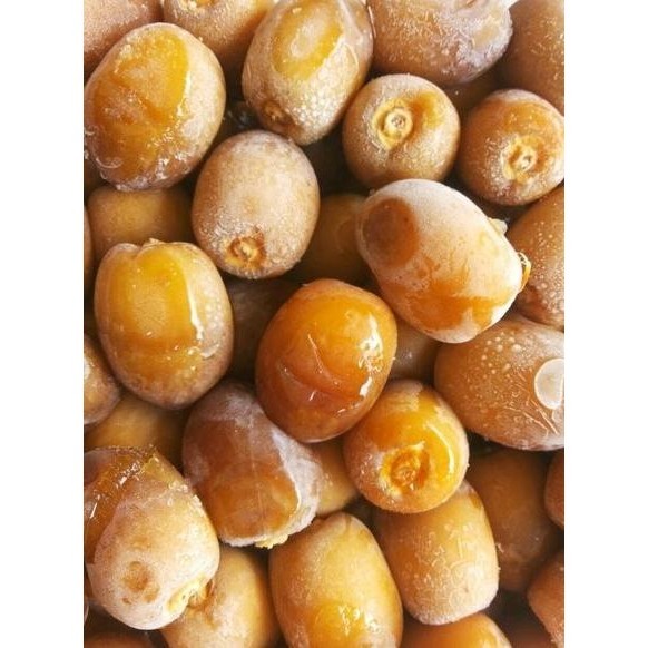 

Kurma Muda Ruthob Korma Untuk Program Hamil 500Gr