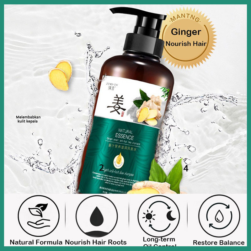 [READY] Shampo Jahe shampo penumbuh rambut cepat shampo penumbuh rambut 500ml Perawatan Rambut