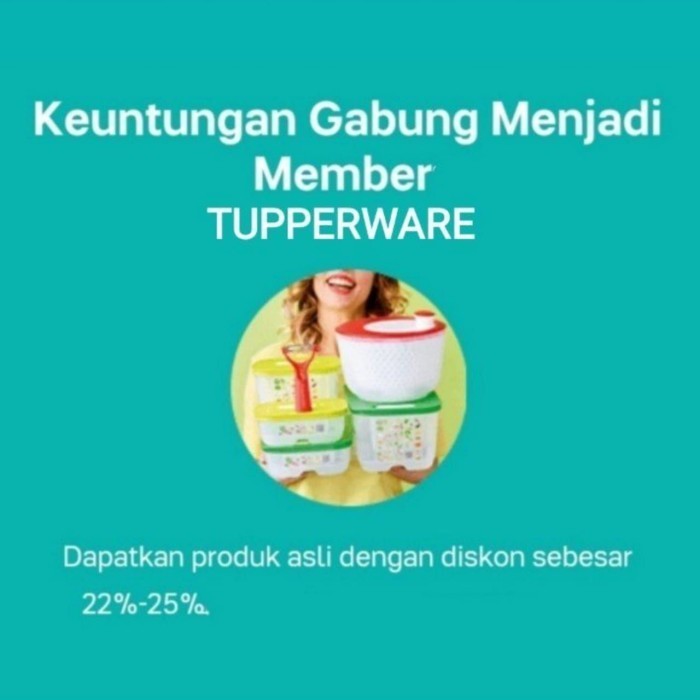 Tupperware Rantang Wadah Piknik Memyimpan Nasi Lauk Roti Sayur Buah