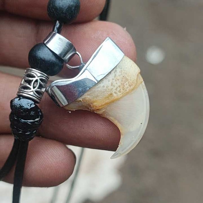 LIONTIN STAINLIST KUKU MACAN KALUNG TALI KOREA