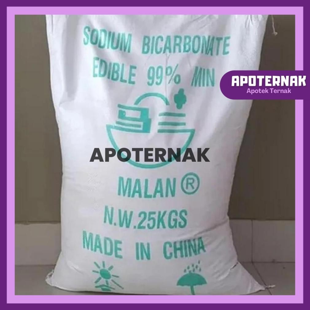 

Bebas Ongkir BAKING SODA 25 Kg - SODA KUE 25 Kg - SODIUM BICARBONATE 25 Kg Food Grade ||