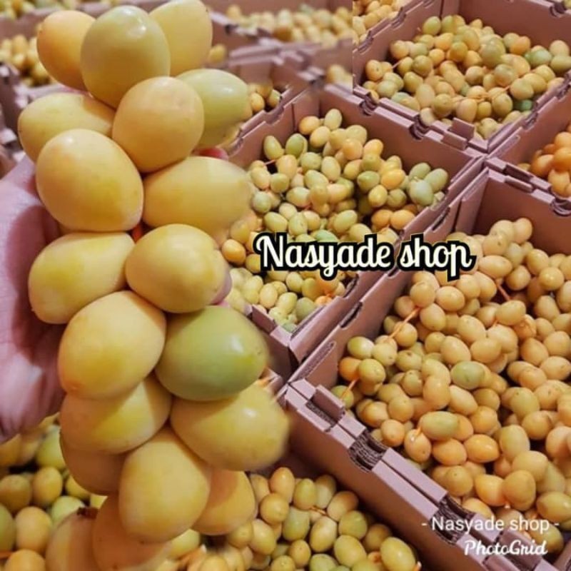 

MJS Kurma muda segar /fresh bukan frozen