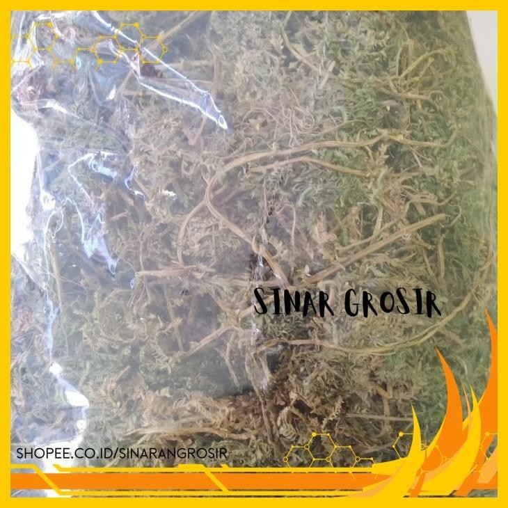 

DAUN CAKAR AYAM KERING 500GR PRODUK TERBAIK