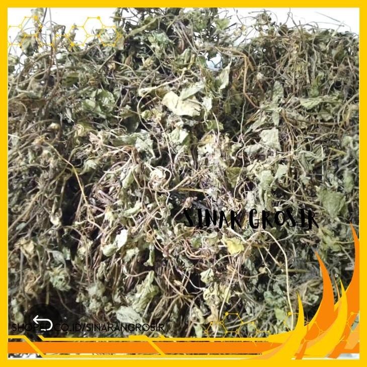 

DAUN PEGAGAN KERING 500GR - DAUN ANTANAN - DAUN KAKI KUDA ASLI BAGUS