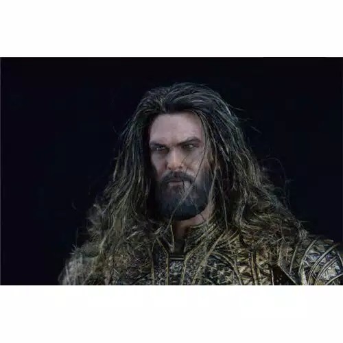 

1/6 Head HS Jason Momoa Aquaman