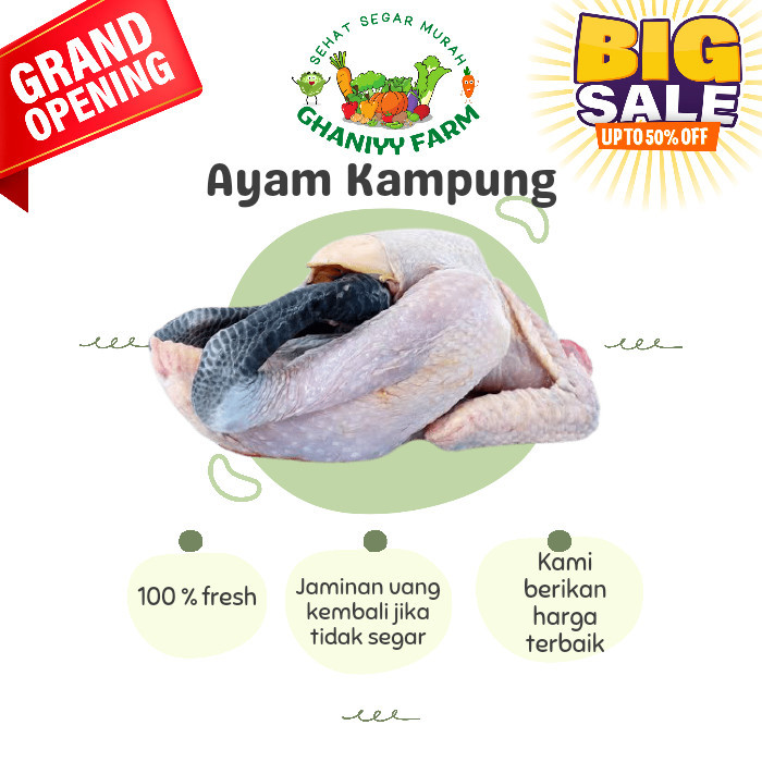 

Ayam Kampung -Gratisongkir