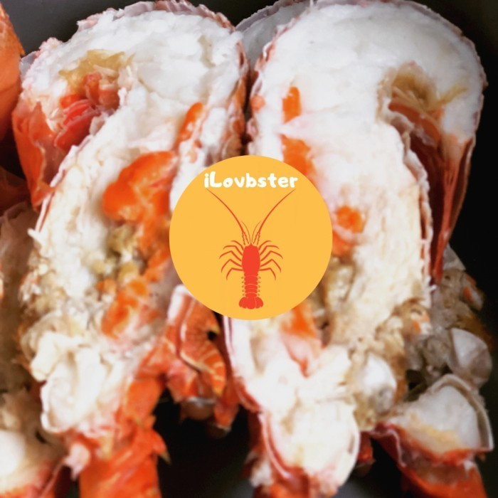 

Ilovbster Steam Lobster 12 Kg Isi 2
