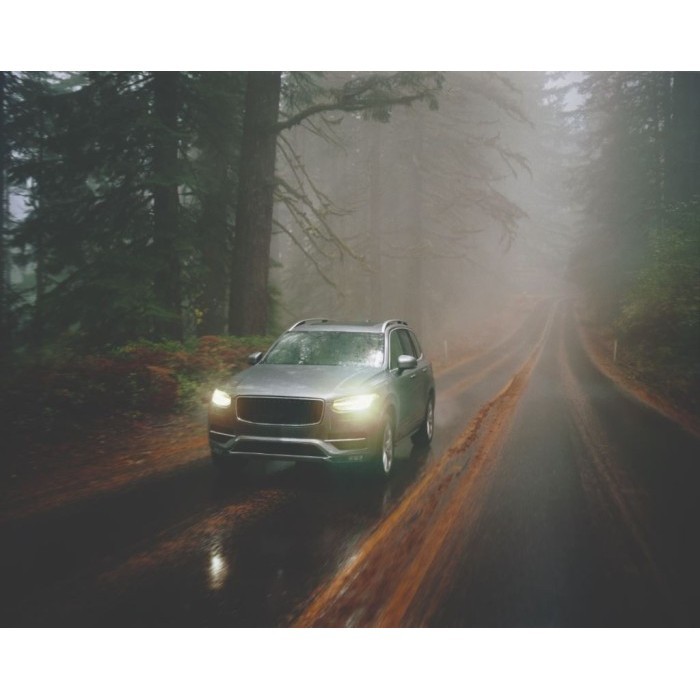 Philips Ultinon Weather Vision Led H11 3500K Bohlam Lampu Mobil Kuning