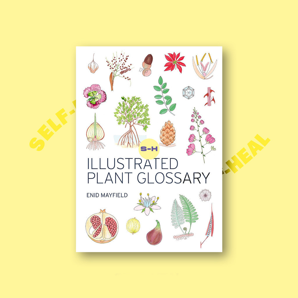 

Illustrated Plant Glossary - Enid Mayfield