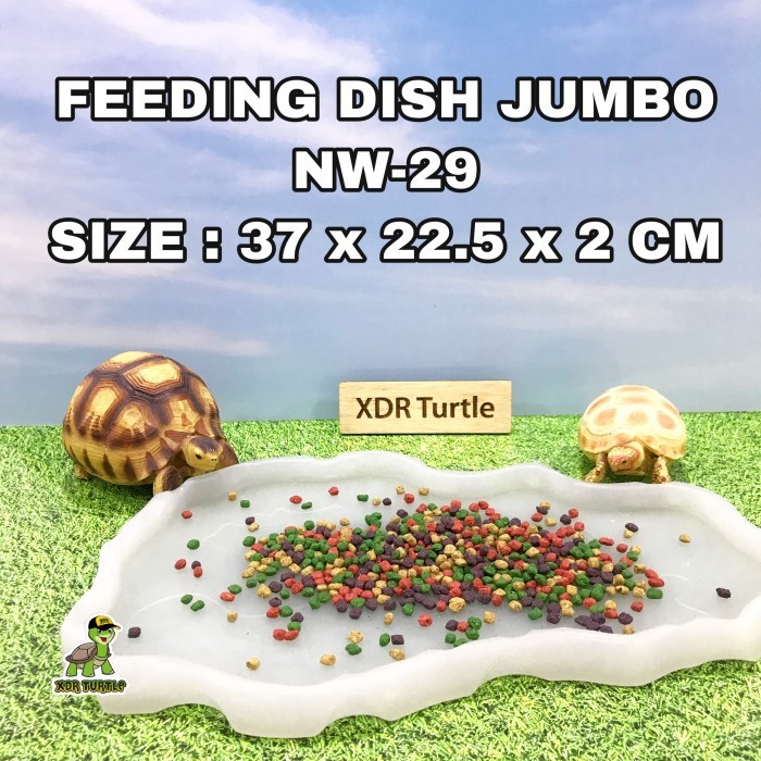 FEEDING DISH NW-29 TEMPAT MAKAN TORTO REPTIL JUMBO SULCATA ALDABRA