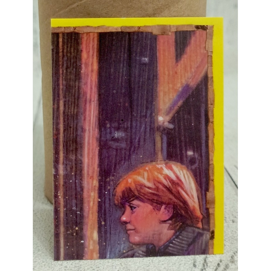 [WDE] Stiker Panini Harry Potter Philosopher's Stone Album 1