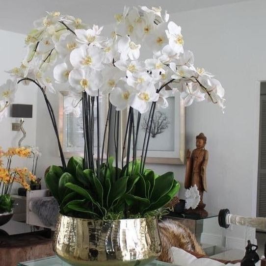 [X-B474] Bunga Anggrek Latex/ Anggrek Bulan Putih / Anggrek Artificial
