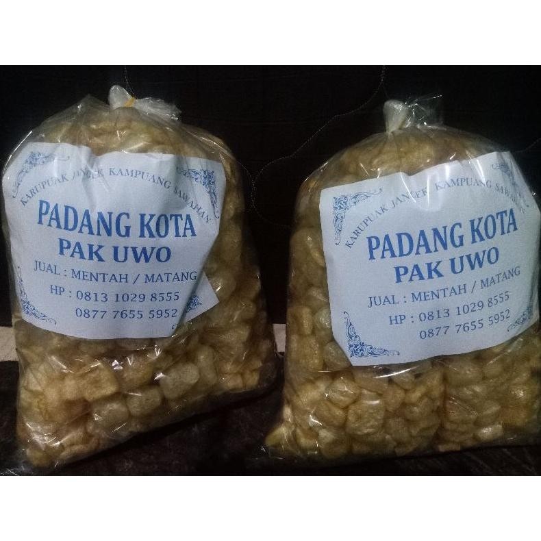 

POI Kerupuk Kulit Padang | Kerupuk Jangek | Kerupuk rambak | Padang Kota isi 50 Bungkus TERLARIS