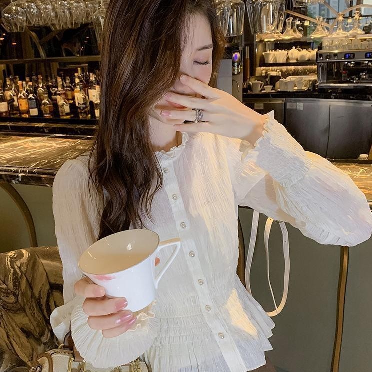 Kemeja Kecil Lengan Panjang Tipis Sifon