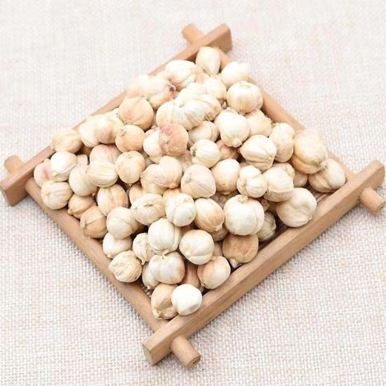 

Seed Entrepreneur Buah Kapulaga Putih - 5 Gram