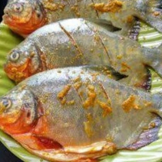 

ikan bawal tawar bumbu kuning 1/2 kg