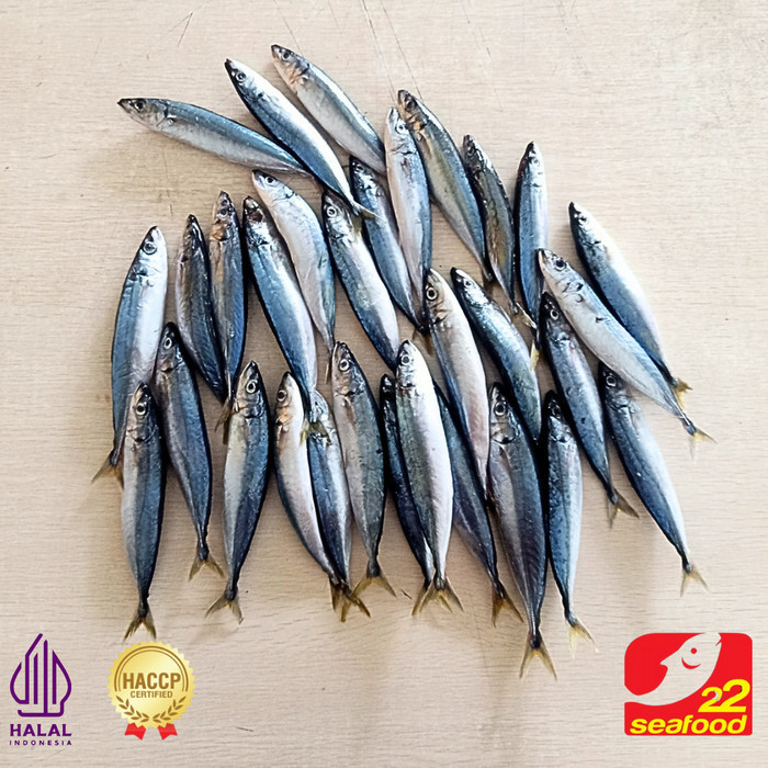 

Ayala - Ikan Layang 1 Kg Isi 30-40 / Ikan Muroaji / Ikan Biru / Seafood 22