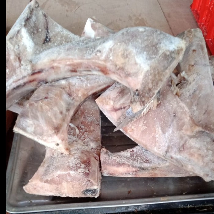 

Ayala - Rahang Ikan Tuna 1Kg /Ikan Tuna/Rahangnya Ikan Tuna/Seafood/Ikan L