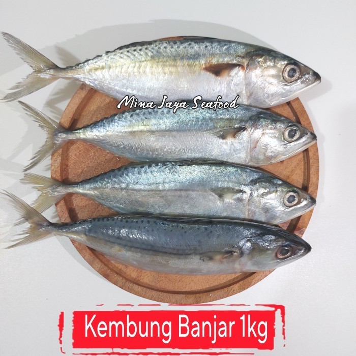 

Ayala - Ikan Kembung Banjar Segar / Ikan Laut Segar / Seafood