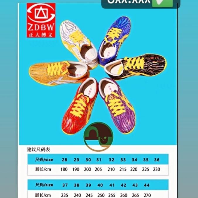 Sepatu Wushu ZDBW