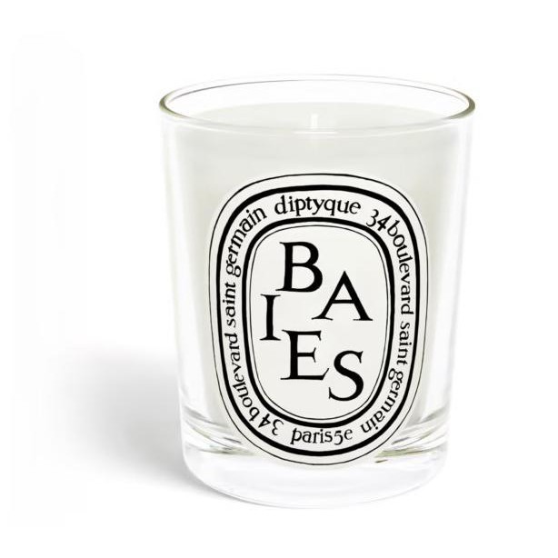 Diptyque Paris Candle FEU DE BOIS Baies ___maxie