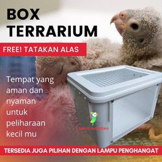 Box terrarium hewan pet tempat lolohan burung gecko reptil