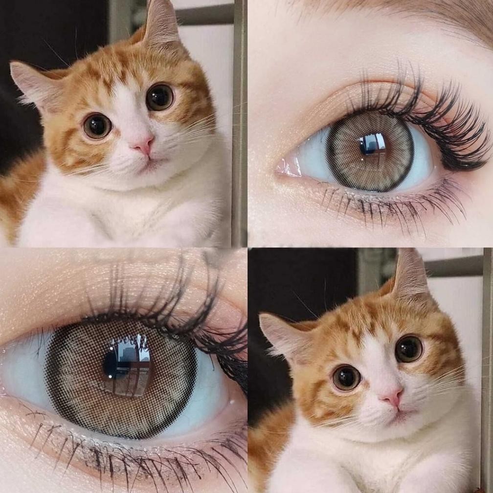 [COD] MYSTICEYES SOFTLENS DAWN SERI GREY BROWN COLOR LENSA KONTAK MINUS -0.50-3.00 14.5 MM Termurah