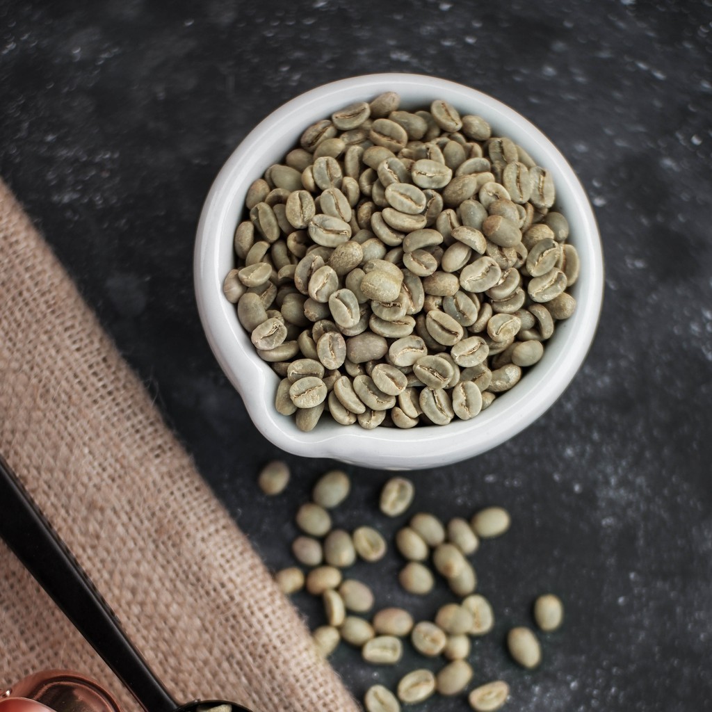 

Seed Center Kopi Arabika (10 Gram)