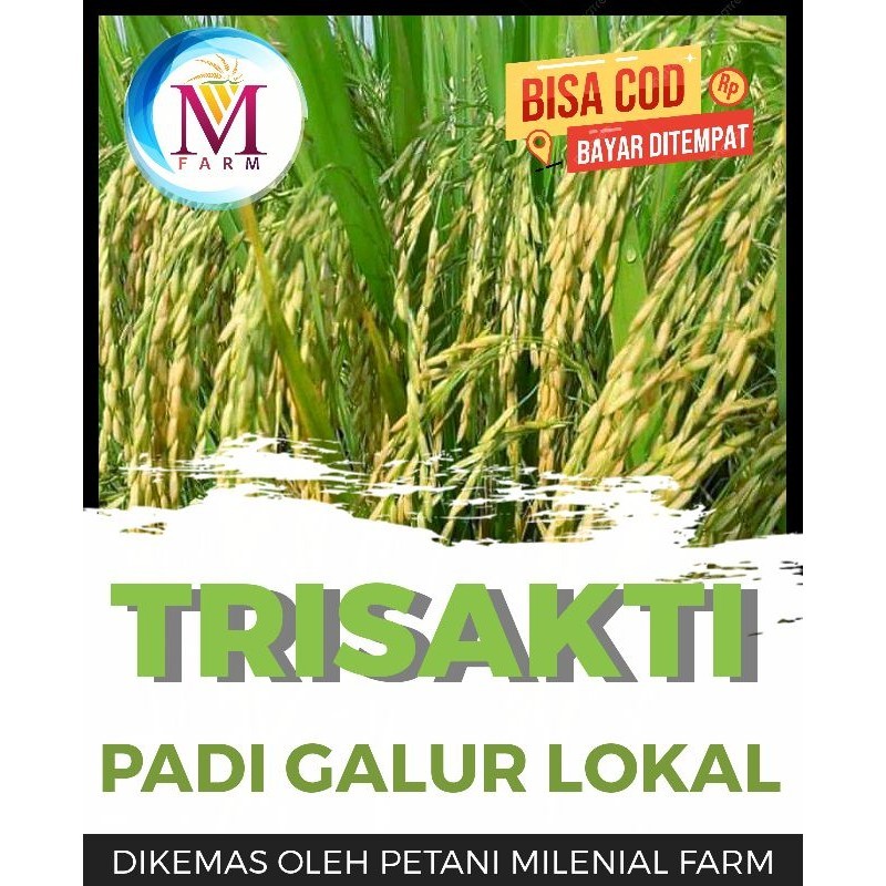 benih padi trisakti kemasan 1kg