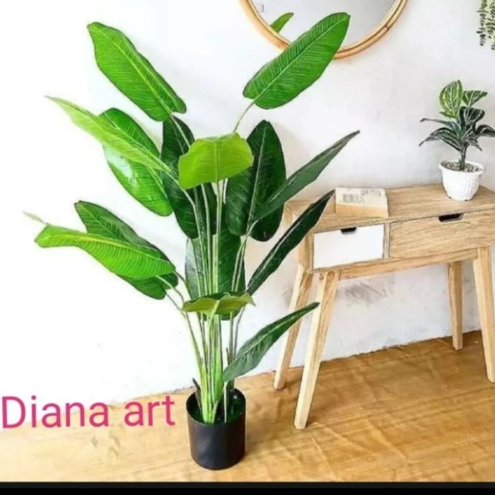 Pohon Pisang#Pisang Hias#Pisang Latex#Bunga Plastik#Pisang Calatea#