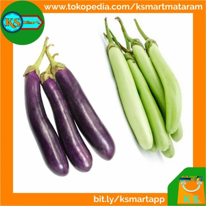 

EG430 Sayur Terong Panjang Bahan Masakan Sayuran Segar NEW