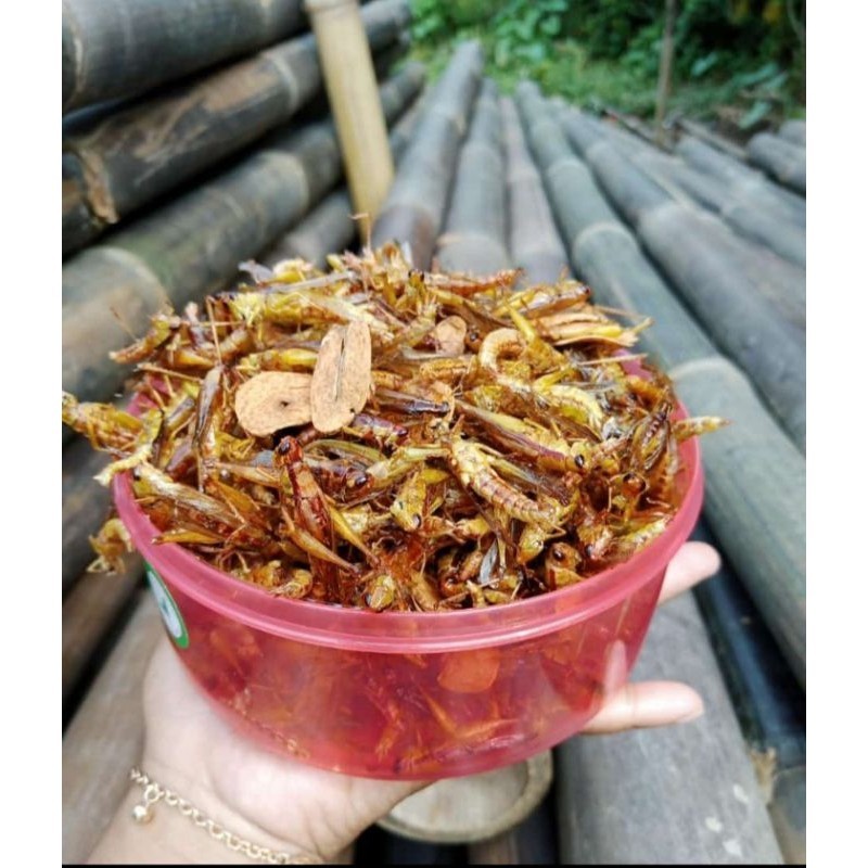 

[Best Food Seller] Belalang goreng kecil/Utis Toples warna berat 180gram Bisa COD