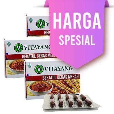 

Bekatul Beras Merah Penangkal Kolesterol 3 Box IS81