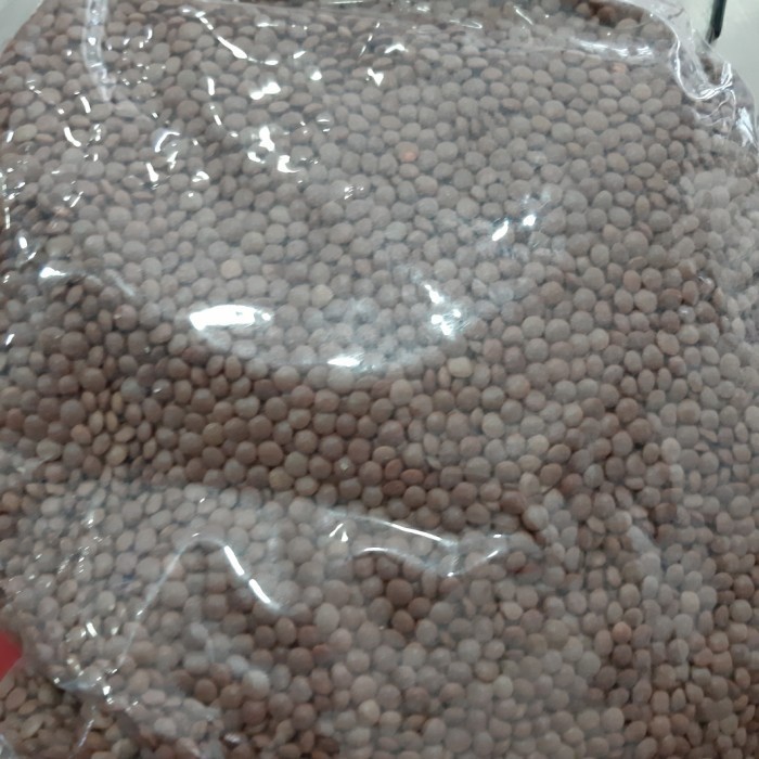 

monggo] masoor brown 1kg