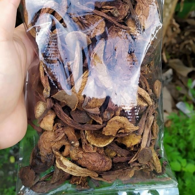 

Jamur Pelawan Kulat Langka Namang Khas Bangka Premium Super 50Gram