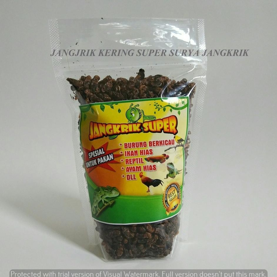 

Diskon Lagi Jual Tepung Jangkrik Murni Tinggi Protein Bck758
