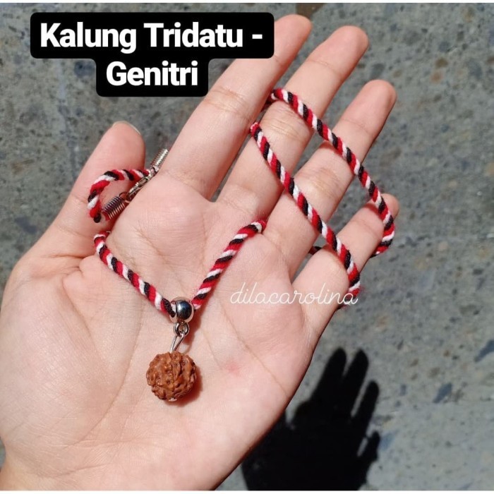 """] Kalung Tridatu Genitri Rudraksha Bali