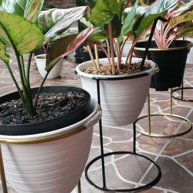 STANDING POT BESI 2 KAKI/RAK BUNGA BESI/RAK BUNGA MURAH