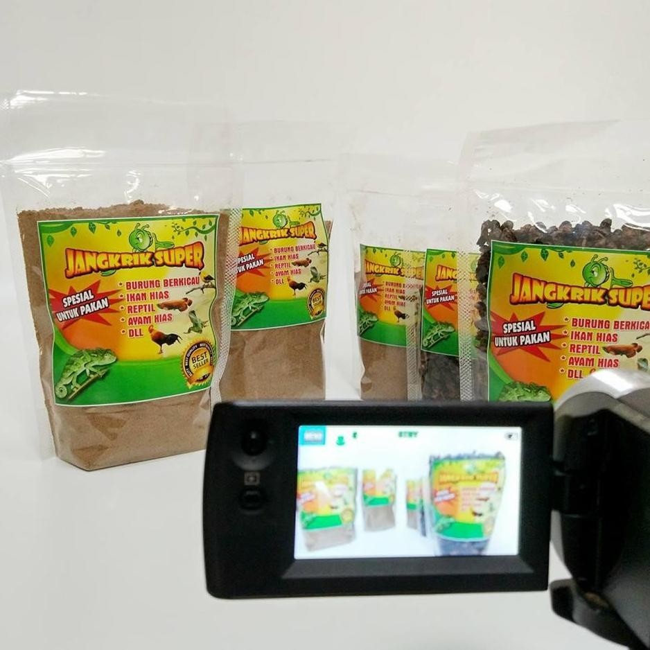 

Tj Alam Jual Tepung Jangkrik Protein Tinggi 100% Menetas