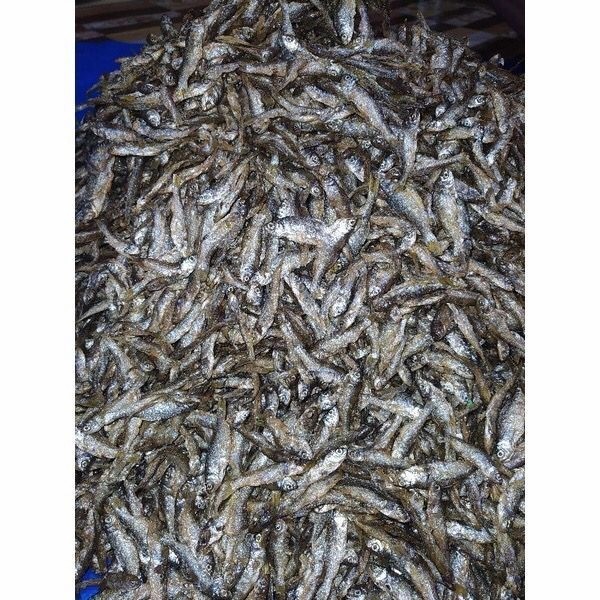 

SALE Ikan bilis / ikan bilih asli danau singkarak kemasan 100 gram